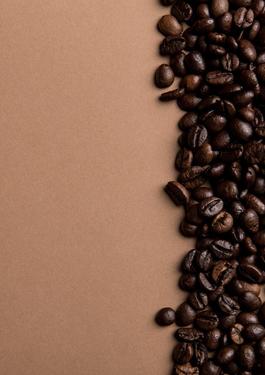 UTZ globalno uveljavitev trajnostnega gojenja kave, kakava in čaja