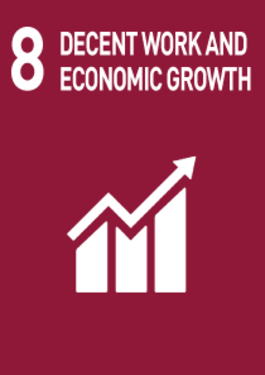 8- decent work and economic growth
