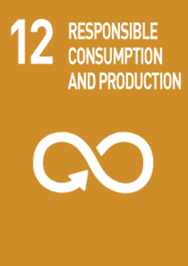 12 RESPONSIBLE CONSUMPTION AND PRODUCTION
